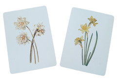 Flowers Daffodils Cards White Yellow Floral Junk Journal Project Scrapbook