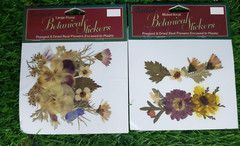 6 Darice Botanical Stickers – REAL Pressed/Dried FLOWERS