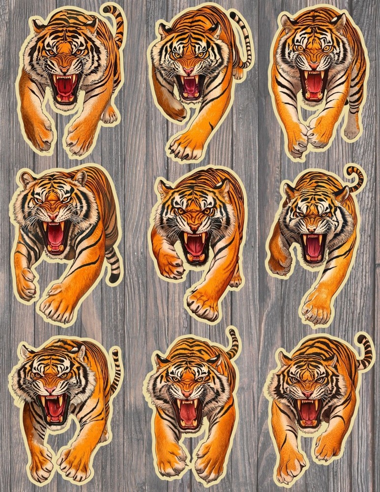 Fierce Tiger Die Cut Vinyl Stickers Scrapbooking Laptop Waterbottle