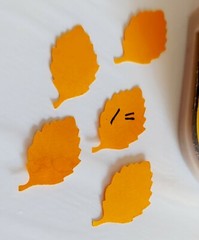 75 FALL/AUTUMN EMBELLISHMENTS ACCENTS IMAGES FIBERS BUTTONS DIE CUTS PAPERS ETC