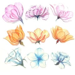 Large Flower Stickers – 30 Pcs Big 4″ Clear PET Floral Stickers for Ink