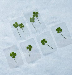 🍀Real Four Leaf Clover- Laminated Pressed Lucky Clover Good Luck Charm