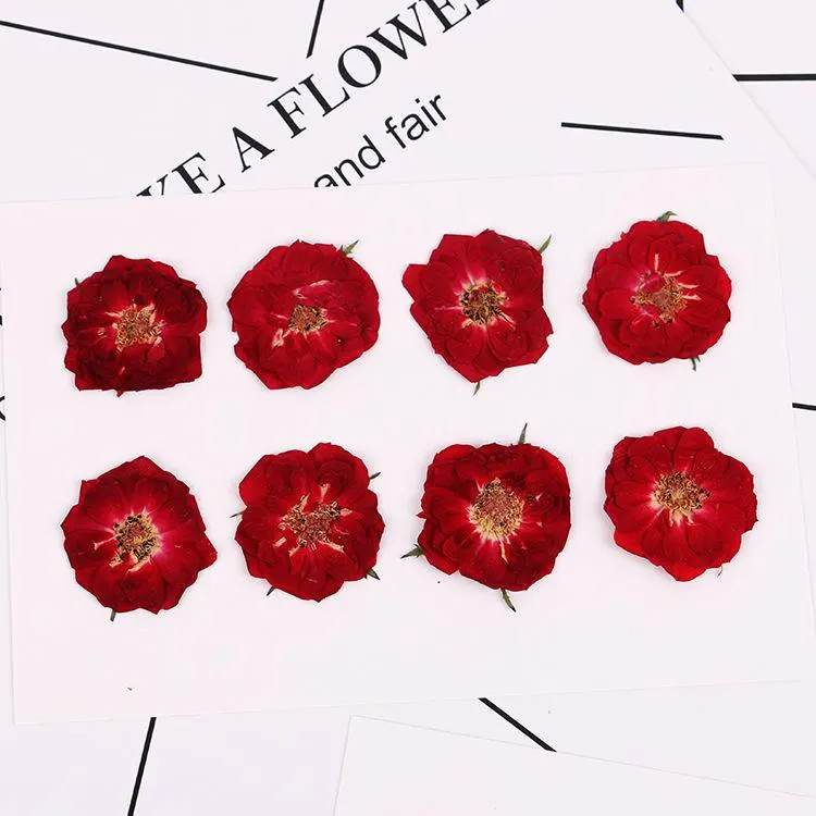 8PCS Real Pressed Dried Tiny Red Rose flower Head, Natural Color FCD70 #2