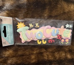 Jolee’s Boutique TWO CUTE Scrapbook Dimensional Stickers BABY BIRTHDAY~10 PCS