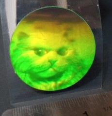 Vintage Stickers 3D Holographic Cat Sticker Mod VTG RARE Laser Polaroid ?
