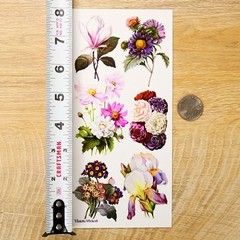 Violette Stickers – Elegant Flowers – 1 Floral Garden Sticker Sheet – Scrapbooks