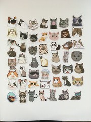 50 Pcs Cat Stickers Kitty Animal Cute Sticker Kids Boys Girls