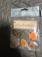 JOLEE’S Boutique Stickers Autumn Leaves 3D Jolees SPJB031 Leaf Fall Festival Vtg