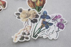 60pc botanical and mushroom Washi stickers | flower die-cut Stickers M02 TZB-L2