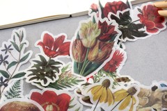 60pc botanical and mushroom Washi stickers | flower die-cut Stickers M02 TZB-L2
