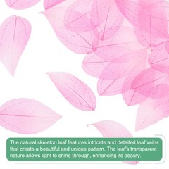 200-Pack Skeleton Leaves, Natural Rubber Leaves Vein[4-6cm, Light Dark Pink]