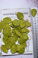 LEAVES Light GREEN MEDIUM 50 Pack Paper – 35mm long x 25mm wide Manor House
