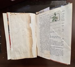 Handmade Botanical Junk Journal Vintage Hardback Repurposed Altered Book Gift