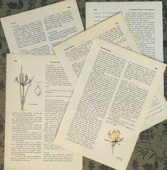 100 Vintage Aged Ephemera Book Pages Lot Mix Variety Collage Craft Junk Journal