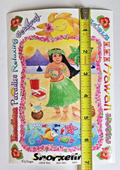 Vtg NRN Designs HAWAII VACATION Timeless Treasures Sticker Frames Build-a-Scene