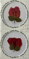 RED FLOWER PRESSED & DRIED REAL FLOWERS(2pc)Leaves •Garden•Blooming•buds•Stem•