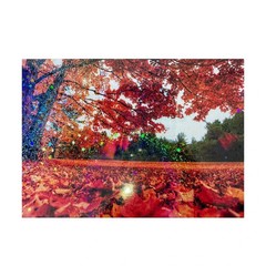 50 Sheets Holographic Sticker Paper Glitter Overlay Self Adhesive 2.9×4.1 inch