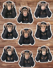 Shocked Monkey Die Cut Vinyl Stickers Set Scrapbooking Laptop Water Bottle