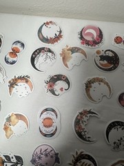 50 CNT Moon Phase Sticker Lot Witchy Celestial Cat Floral Mystical Collection