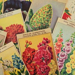 25 Random Antique French Flower Seed Labels