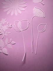 Botanical vellum die cuts, translucent leaves and flowers for cards,scrapbooking