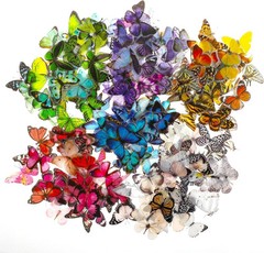 COMNICO 240PCS Butterfly Stickers, PET Waterproof Transparent Colorful Resin Dec