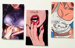 Sexy Girls. Adult Picture Stickers Hot Babes. Sexy Ladies. 6 Stickers/Decals (C)