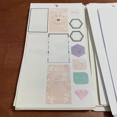 The Happy Planner Loose Partial Sticker Pages 120 Count