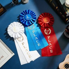 9 PCS Award Ribbons Set 1st 2nd 3rd Place Rosette Prize Winner Recognition