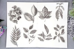 flower sketch vellum sticker | calla lily flower Silver foil black white