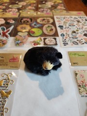 Crafters Scrapbooks Stickers Of 9 Package’s NEW