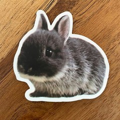 20 BUNNY cute stickers Rabbit, animals bunny lover, water bottle, computer decal