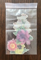 Paper Reflections 8 Vellum Die Cuts “Flowers” Stickers