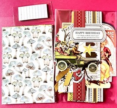 Anna Griffin Beaux Regards 12 PCS Collage Toppers + MORE ~ Over the Hill/Funny!