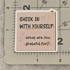 Check In With Yourself Gratitude Sticker Mental Health Boho Affirmation Decal