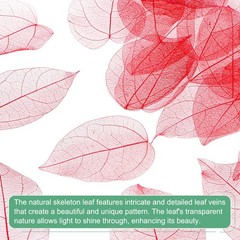 100-Pack Skeleton Leaves, Natural Rubber Tree Leaves Vein[7-9cm, Red]
