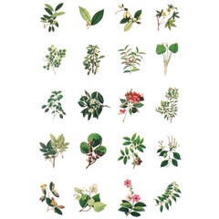 Wrapables Decorative Scrapbooking Washi Stickers, DIY Stationery Diary (60pcs)