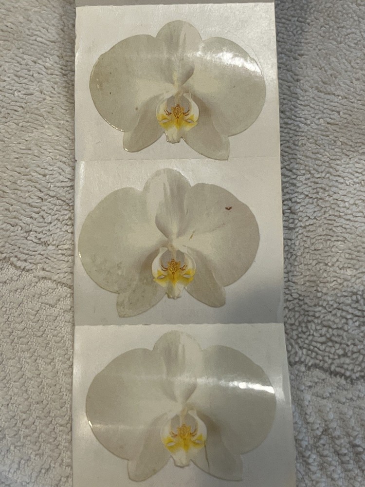 Mrs. Grossman’s White Orchid Stickers – Partial Roll – PLEASE READ