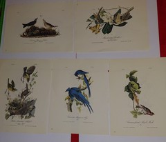 120+ Scrapbooking Junk Journal Ephemera Stickers Music Christmas Audubon Birds