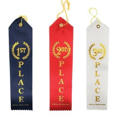 2nd Place Winner Award Ribbons Red Event Card String Gold Writings 12 PCS
