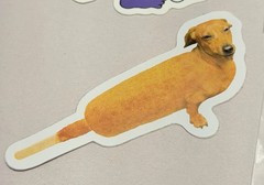 Vintage Sticker Decal Lot Rare Weiner Dog NY Boston Groovy Tiger NY Boston NH