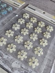 Sticker Lot Flowers Scrapbooking 3D Stickers Floral Gemstone Spring Jolee’s #119