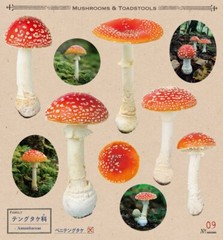 Japanese Mushrooms Stickers book 238 Stickers Shogakkan NEO Shiitake Shimeji