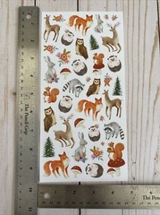 Stickers Woodland Animals Matte Finish Paper Raccoon Hedgehog Owl Deer Squirrel