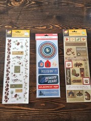 Colorbok Stickers LOT ~ Lodge Elements, Hiking Boots, Leaves Outdoors NEW #5