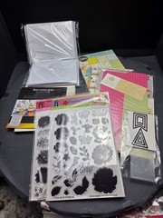Huge Card Making Craft Lot HOTP Anna Griffin Spectrum Noir Sizzix Dies Stamps