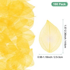 100-Pack Skeleton Leaves, Natural Rubber Tree Leaves Vein[4-6cm, Yellow]