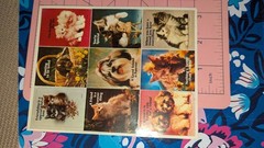 Vintage Stickers By Paula Dogs And Cats Friendship Lot 2 Sheets(1 W/Damage)