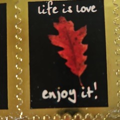 Autumn Leaves Scrapbooking Stickers, Gold Border Red Black Orange Yellow Phrases