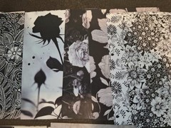 100 Sheets Scrapbooking JJ Paper Crafts Ephemera Papers 5 1/2 X 3 3/4 In Black